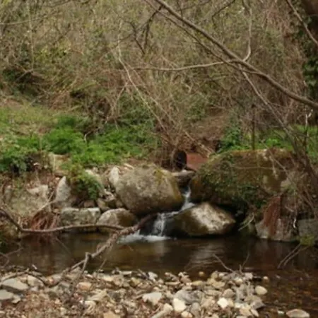 Jolie Maison Des Cevennes *