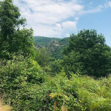度假居 Jolie Maison Des Cevennes