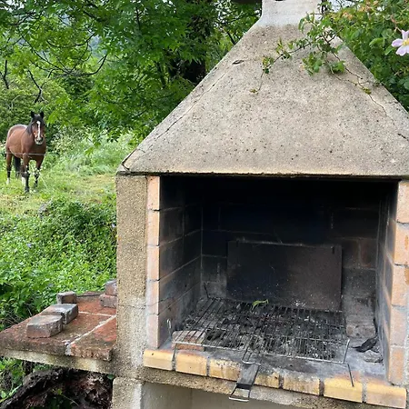 Jolie Maison Des Cevennes 度假居